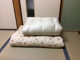 NO29/堺市在中のS様のベビ-布団の注文の依頼です。私の近くにお布団屋さんがなく、ネットで【布団屋のおかもと】を知りました。一度、お店にお伺いしますのでその時はよろしくお願いします。